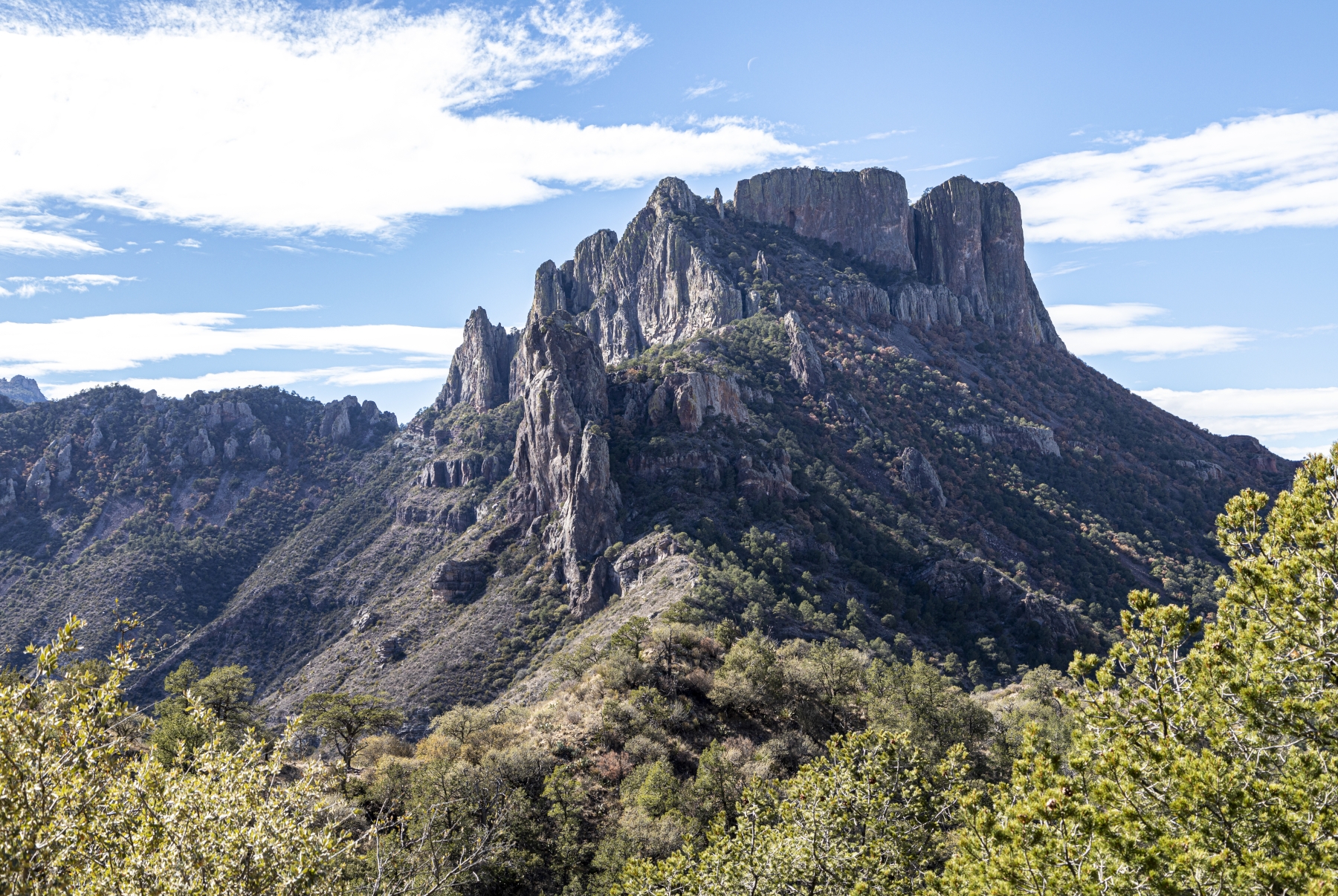 /gallery/north_america/USA/Texas/big bend np/Lost Mine Trail Big Bend Dec 2020-008_med.jpg